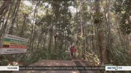 Setelah Hutan Terbakar (3)