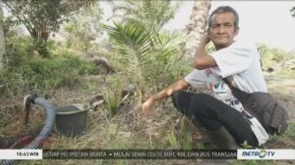 Setelah Hutan Terbakar (2)