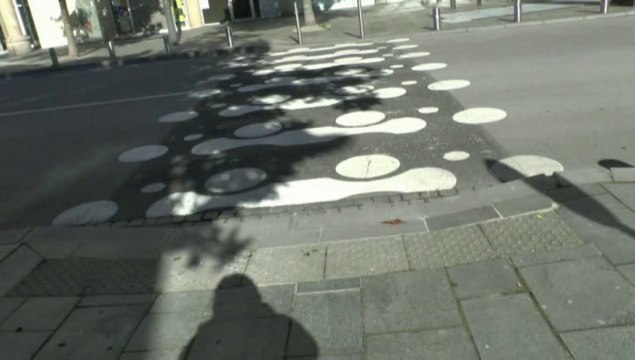 LES W-D.D. MICHOU NEWS - 15 MARS 2020 - PAU - COURS BOSQUET RÉNOVATION DES BANDES DES PASSAGES PROTÉGÉS