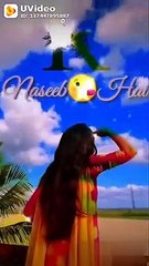 Tere jisa yaar mila mera kia naseeb hai