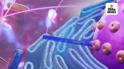 विदेशों में बसे राजस्थानियों ने बताया- सिंगापुर ने फ्री सेफ्टी किट बांटी, सिडनी ने आर्थिक मदद दी, स्पेन ने सेल्फ स्टर्लाइजेशन किया