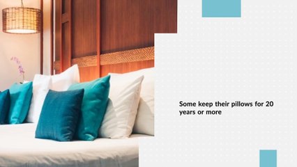 Buy Natural and Organic Pillows 2020 - Turmerry