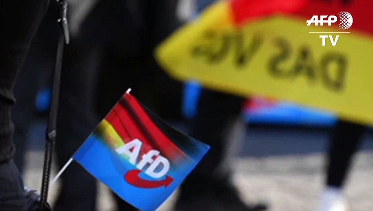 Rechtsextremer "Flügel" in der AfD löst sich offenbar auf
