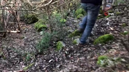 Toprak altından çıkıyor, vücut direncini artırıyor...Yaşı 200, kurusu 750 TL'den satılıyor