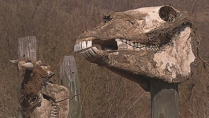 World Water Day: Many in Chile lack access to water