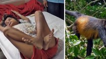 This Girl Was Found Living With Monkeys