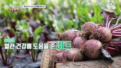 ★혈관 건강에 좋은 '비트'★ 부정맥을 극복한 그녀의 다양한 활용법은!?