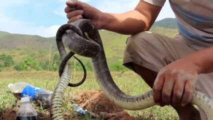 The Best Experiment :  Pepsi vs Mentos vs Snake In Underground Hole