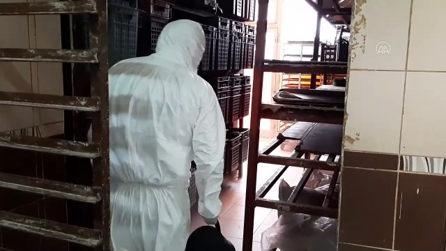 Koronavirüs tedbirleri kapsamında fırınlar dezenfekte edildi - ARDAHAN