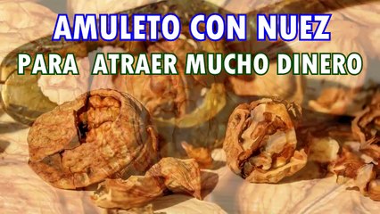 Amuleto Con Nuez Para Atraer Mucho Dinero