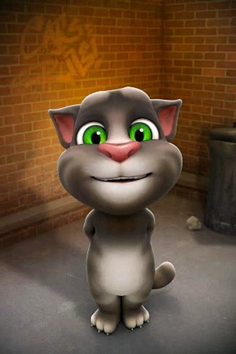 Funny Talking Tom