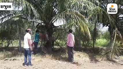 અમરેલીમાં જનતા કર્ફ્યુને લઇ શહેર સજ્જડ બંધ, યુવાનોએ ઘરને બદલે વાડીમાં ત્રોફા પી મજા માણી