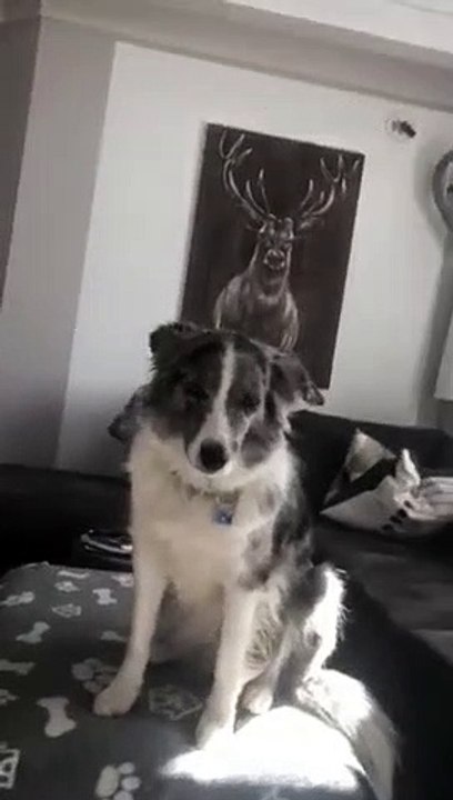 #staysafe Tierische Grüße nach Tirol