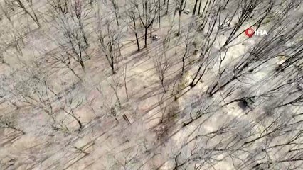 Piknikçiler uyarılara uydu, Belgrad Ormanı boş kaldı