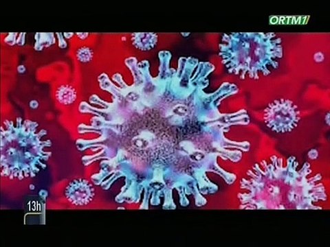 ORTM/Validation de plan d'urgence par les autorités de la région de Tombouctou sur les mesures à prendre pour la lutte contre le coronavirus
