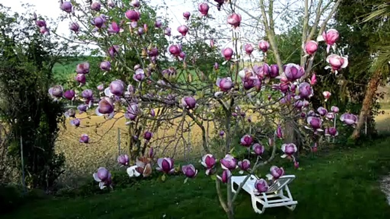 Jardin coté sieste