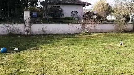 Défi réalise par Robin U9 vidéo 2