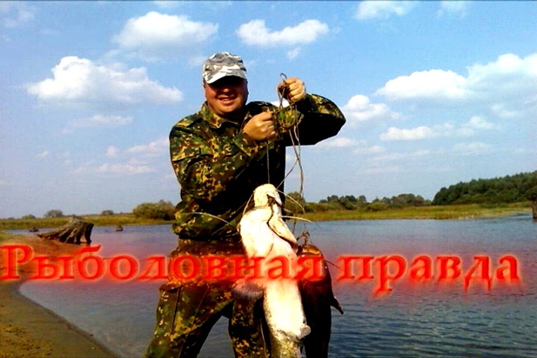 Яйца