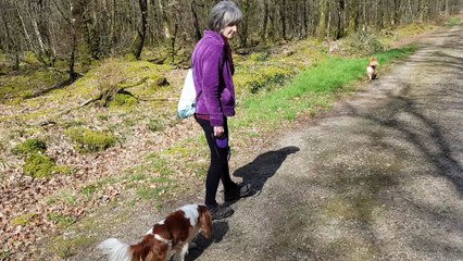 Un moment en liberté en balade