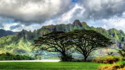 Ago - Electric Cucaracha HQ Audio HD1080p Full Screen Many Photos