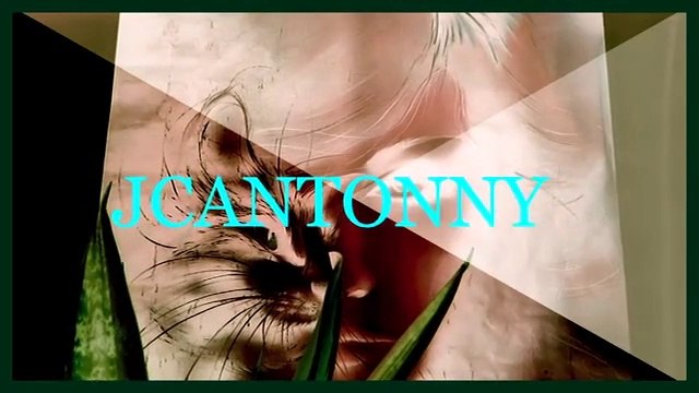 JCANTONNY : ” Tu es ma Bella ” - Clip Officiel