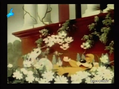 23 - sevimli hayvanlar - evli saka kuşları ve çoban köpeği ahbap - kubilaysavash -movieturk -shaolin efsanesi-xzgxhz