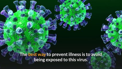 Coronavirus: How it Spreads and How to Protect Yourself - Find Out If You have Coronavirus