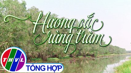 Ký sự truyền hình: Hương sắc rừng tràm