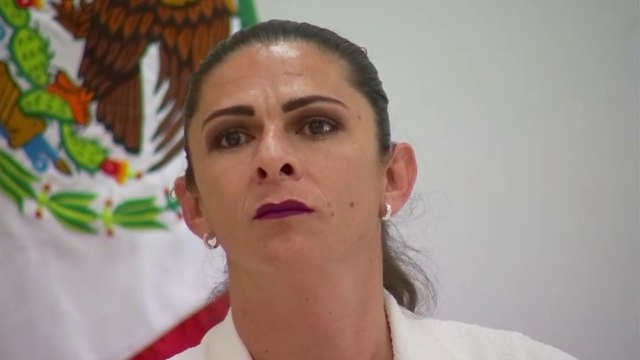 Central Fox: Tenemos que ser pacientes : Ana Guevara