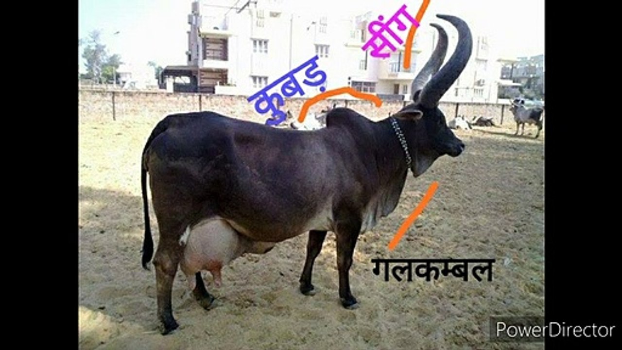 कोरोना वायरस से बचने के बेहद कारगर उपाय