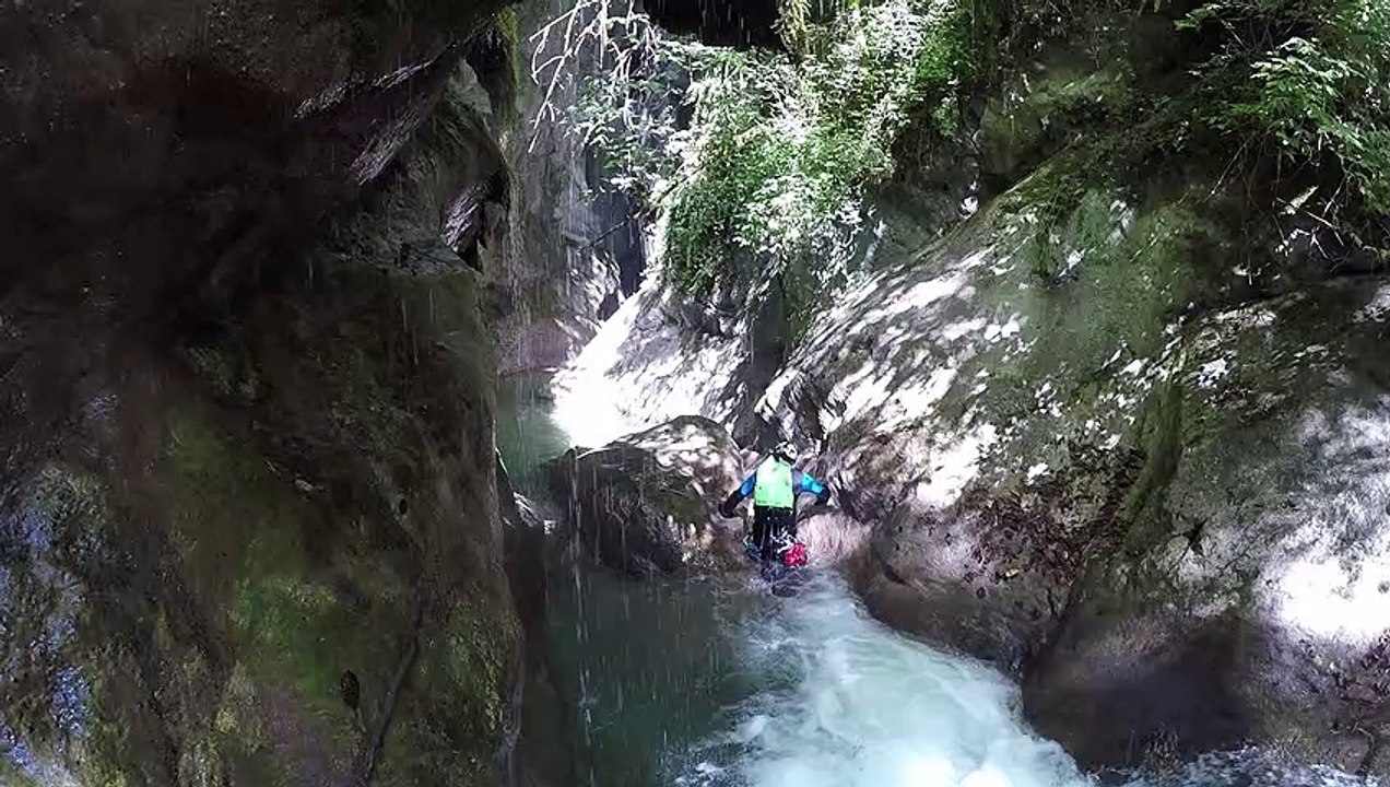 12 Canyon Infernet 2019 (Sweet things)