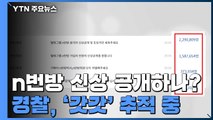 'n번방 신상 공개' 역대 최다 동의...경찰, '갓갓' IP 추적 / YTN
