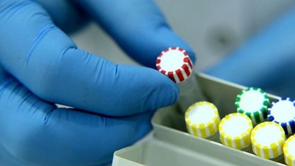 15 Türk bilim insanının geliştirdiği ve %99,9 oranında doğruluk gösteren tanı kitleri 15 ülkeye ihraç ediliyor