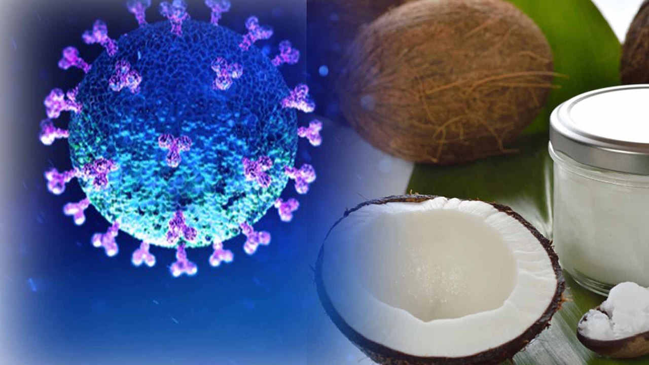 Increased immunity from coconut oil | coconut oil benefits  Oneindia kannada