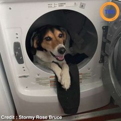 Elle reçoit un SMS d’un numéro inconnu et découvre ça !