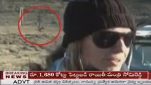 5 Unexplained Creature Sightings Caught During Live T.V. Segments...