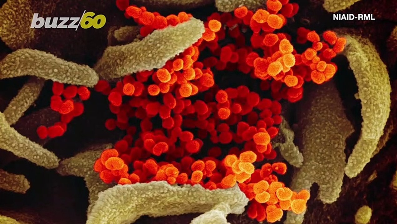 Staying Safe with Selfies? Countries Get Creative with Coronavirus Quarantine