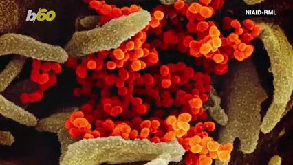 Playboy Magazine Blames Coronavirus For Killing Print Edition