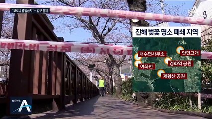 “자제 하라니까 더 오네”…벚꽃 명소 출입 ‘전면 폐쇄’