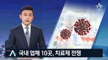 “코로나19 치료제, 반년 안에 투여”…전문가, 낙관 경계