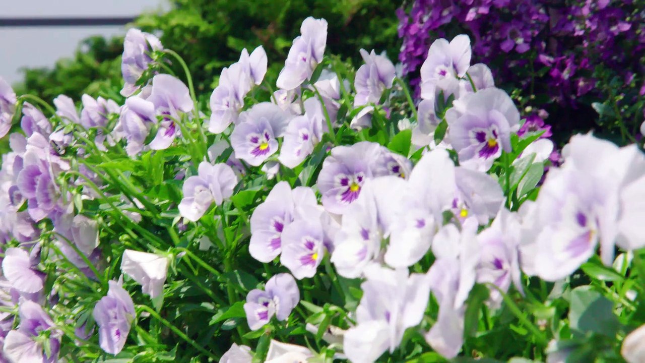 Michael Kors nous fait visiter son penthouse à New-York