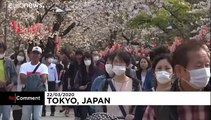 Japanese go out en masse to celebrate cherry blossom season despite coronavirus outbreak