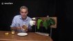 Australian scientist tests the effectiveness of some alternatives to toilet paper using vegemite