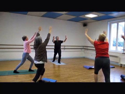 Yoga de l'Energie - V 0 - Montlouis 11 juin 2013 - Prepa Ech Arc Guer Equil Medt