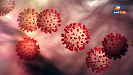Revue actualité en français: La Gambie et la Mauritanie ferment leurs frontières, la nivaquine soigne le coronavirus...