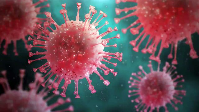 COVID-19_ Know The Facts _ Stay Safe Stay Home _ Janta Curfew _ Seed Companies _ Jam Jam Group