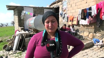Tek Odalı Evde 9 Nüfusla Yaşama Tutunmaya Çalışıyor