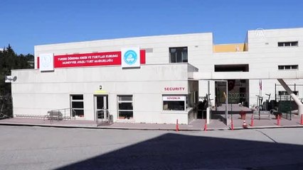 KYK yurtları yurt dışından gelecek öğrenciler için hazırlandı