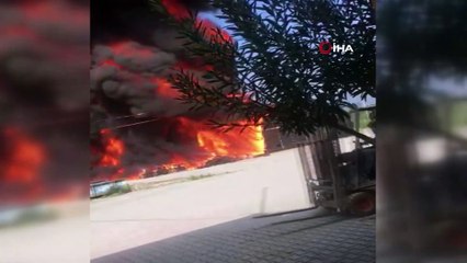 Narenciye paketleme tesisinde yangın