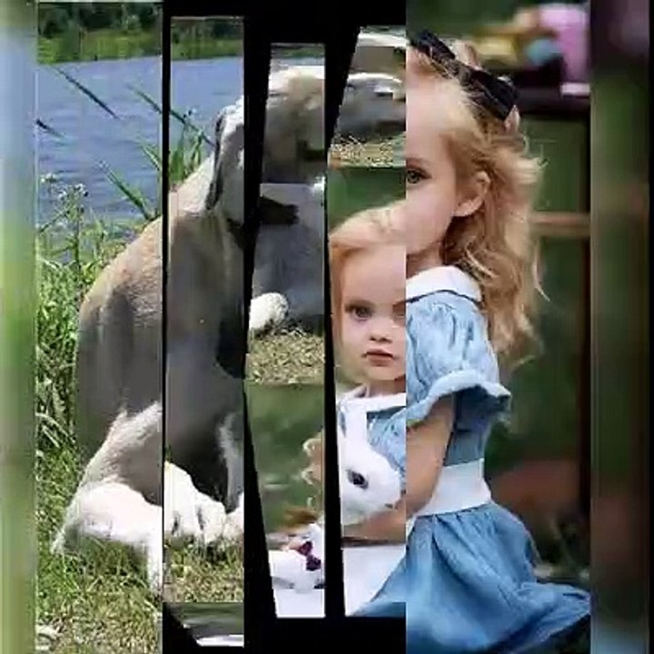 VID-20200321-WA0000